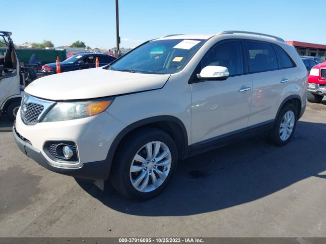 Photo 1 VIN: 5XYKU4A24BG117386 - KIA SORENTO 