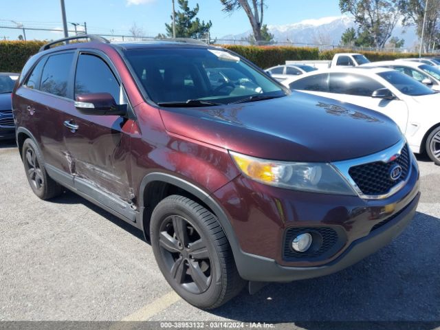 Photo 0 VIN: 5XYKU4A26DG381504 - KIA SORENTO 