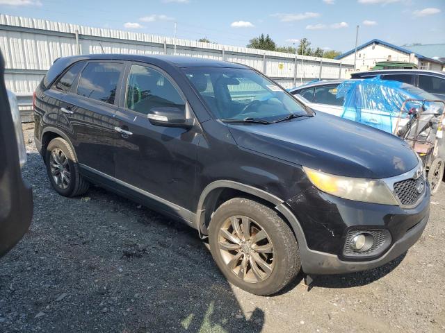 Photo 3 VIN: 5XYKU4A28BG025696 - KIA SORENTO EX 