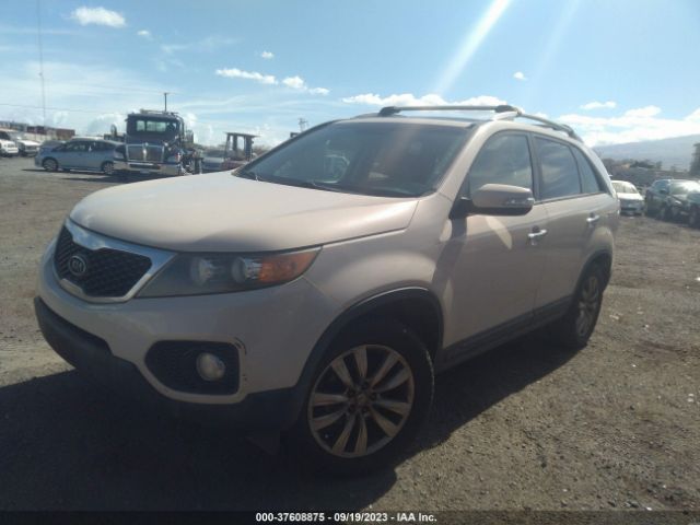 Photo 1 VIN: 5XYKU4A29BG028087 - KIA SORENTO 