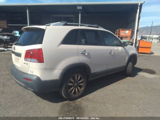 Photo 3 VIN: 5XYKU4A29BG028087 - KIA SORENTO 