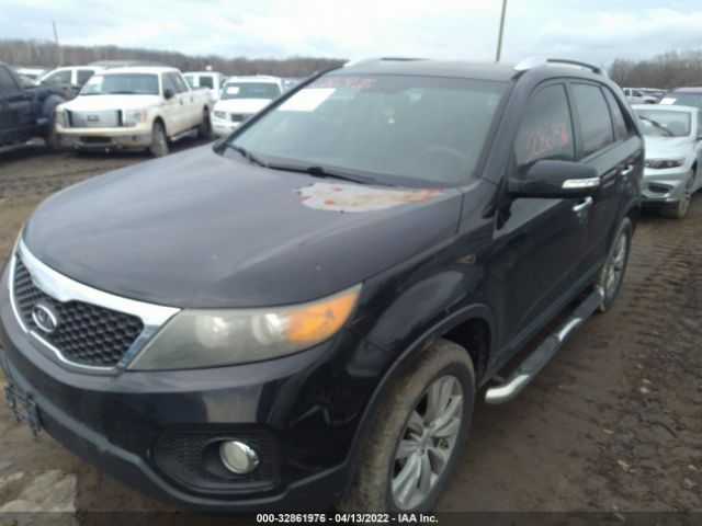 Photo 5 VIN: 5XYKU4A2XBG078156 - KIA SORENTO 