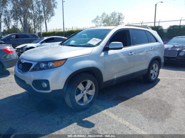 Photo 1 VIN: 5XYKU4A66DG373504 - KIA SORENTO 