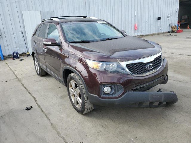 Photo 3 VIN: 5XYKU4A69CG242257 - KIA SORENTO EX 