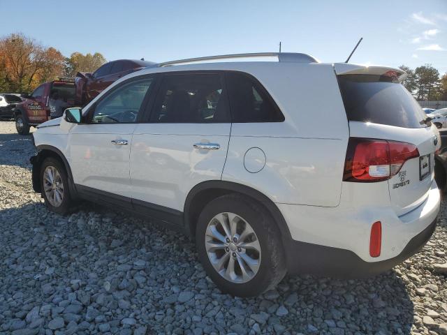 Photo 1 VIN: 5XYKU4A71EG510486 - KIA SORENTO EX 