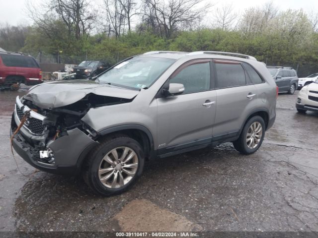 Photo 1 VIN: 5XYKUCA10BG065661 - KIA SORENTO 