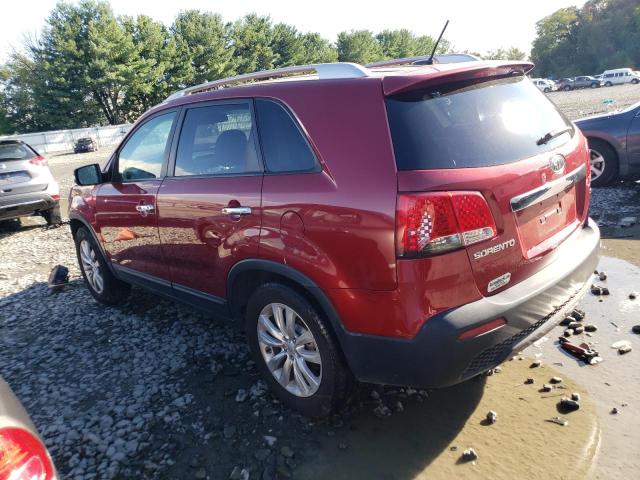 Photo 1 VIN: 5XYKUCA11BG037092 - KIA SORENTO EX 