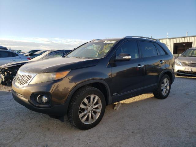 Photo 1 VIN: 5XYKUCA14BG141561 - KIA SORENTO EX 