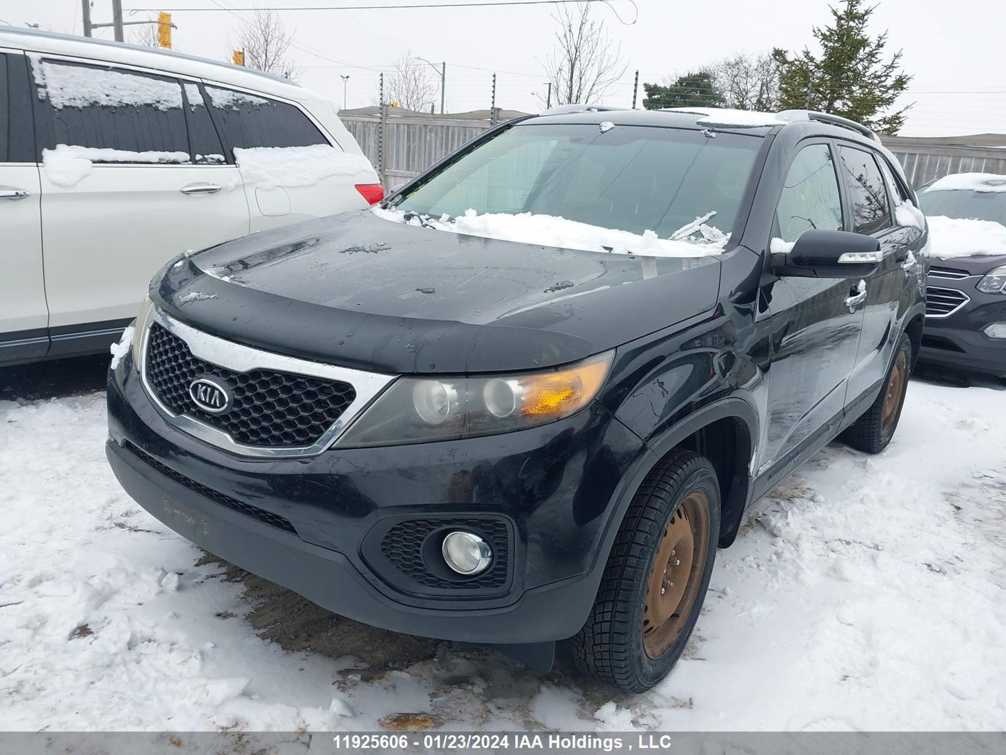 Photo 1 VIN: 5XYKUCA15BG185147 - KIA SORENTO 