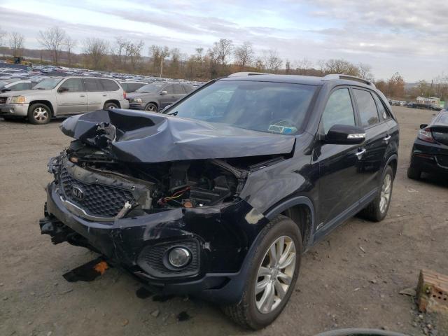 Photo 1 VIN: 5XYKUCA16BG056527 - KIA SORENTO 