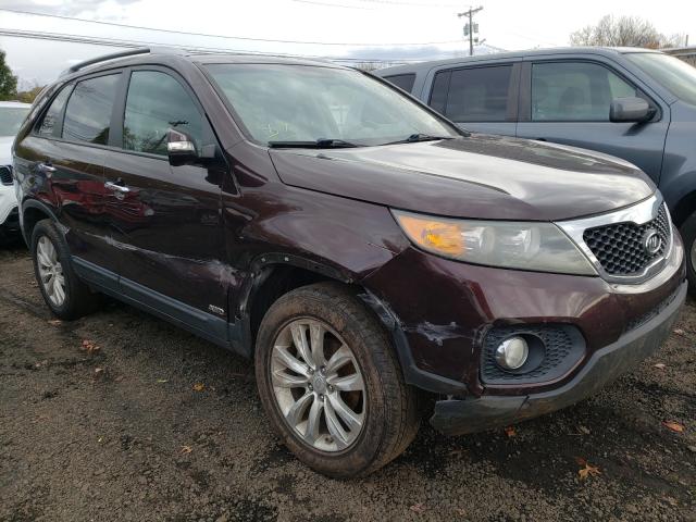 Photo 0 VIN: 5XYKUCA16BG088703 - KIA SORENTO EX 