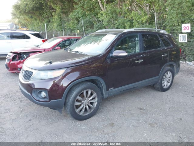 Photo 1 VIN: 5XYKUCA16BG122039 - KIA SORENTO 