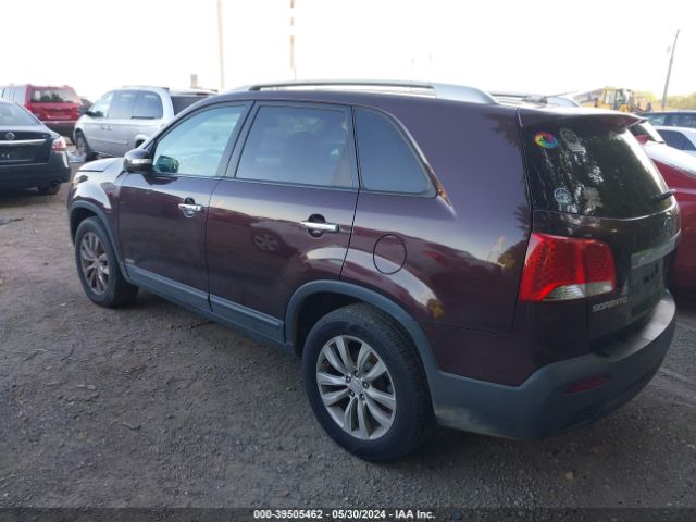 Photo 2 VIN: 5XYKUCA16BG122039 - KIA SORENTO 