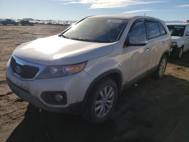 Photo 1 VIN: 5XYKUCA17BG002668 - KIA SORENTO EX 