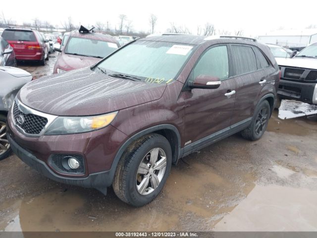 Photo 1 VIN: 5XYKUCA61DG398546 - KIA SORENTO 