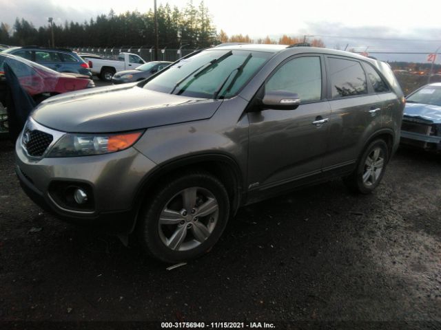 Photo 1 VIN: 5XYKUCA64DG313215 - KIA SORENTO 