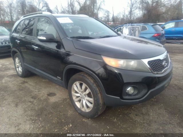 Photo 0 VIN: 5XYKUDA10BG013548 - KIA SORENTO 