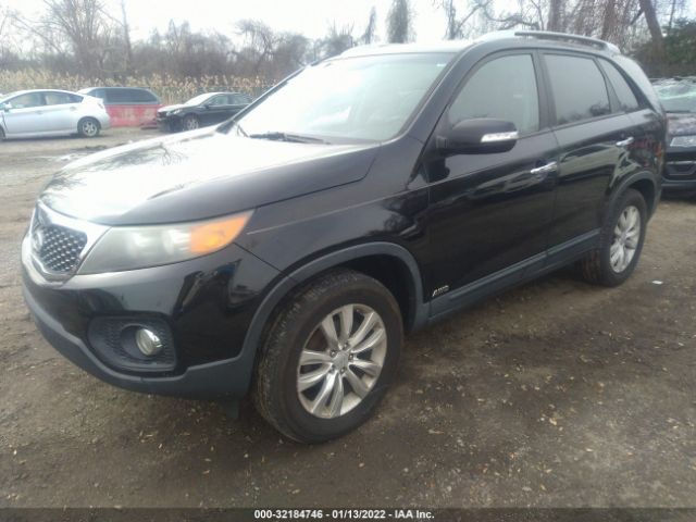 Photo 1 VIN: 5XYKUDA10BG013548 - KIA SORENTO 