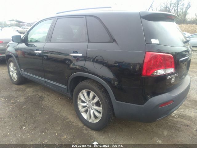 Photo 2 VIN: 5XYKUDA10BG013548 - KIA SORENTO 