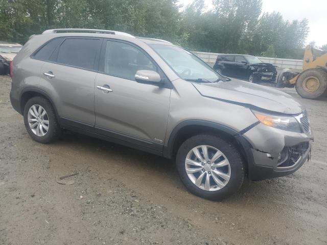 Photo 3 VIN: 5XYKUDA10BG128909 - KIA SORENTO EX 