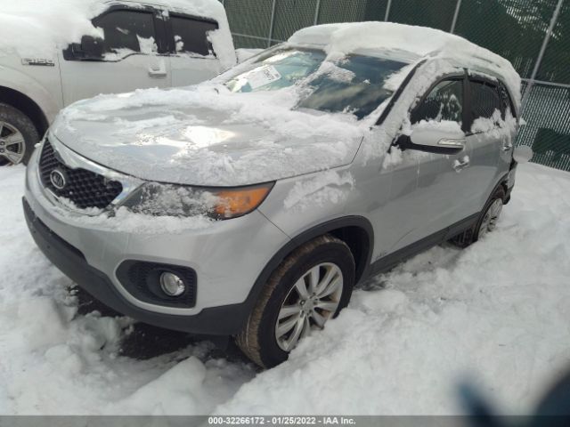 Photo 1 VIN: 5XYKUDA16BG142409 - KIA SORENTO 