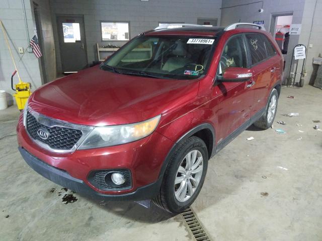 Photo 1 VIN: 5XYKUDA21BG012028 - KIA SORENTO EX 