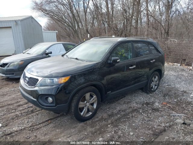 Photo 1 VIN: 5XYKUDA21CG252374 - KIA SORENTO 