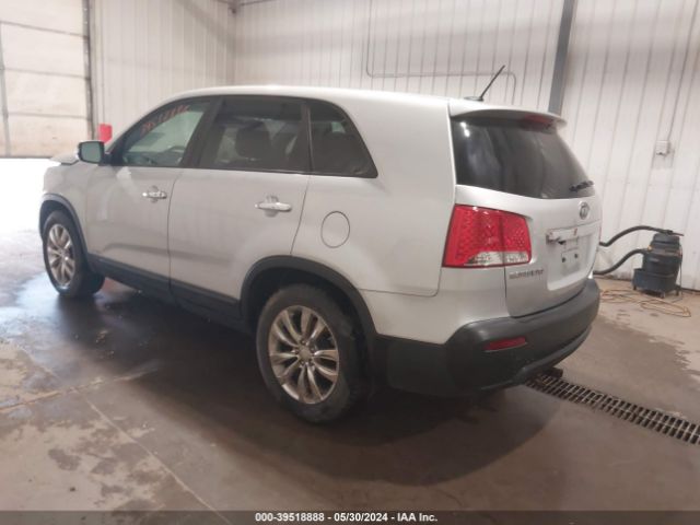 Photo 2 VIN: 5XYKUDA22BG026813 - KIA SORENTO 