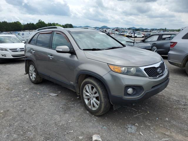 Photo 3 VIN: 5XYKUDA22BG091354 - KIA SORENTO 