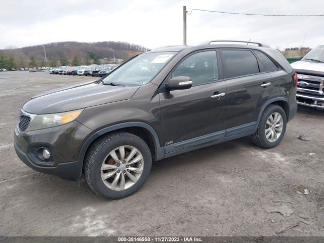 Photo 1 VIN: 5XYKUDA22BG104488 - KIA SORENTO 