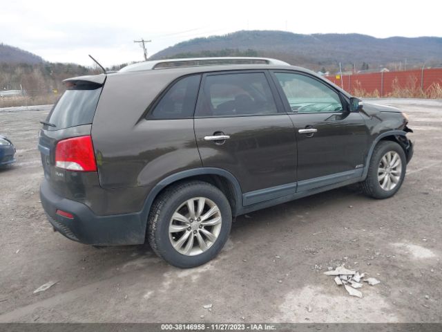 Photo 3 VIN: 5XYKUDA22BG104488 - KIA SORENTO 