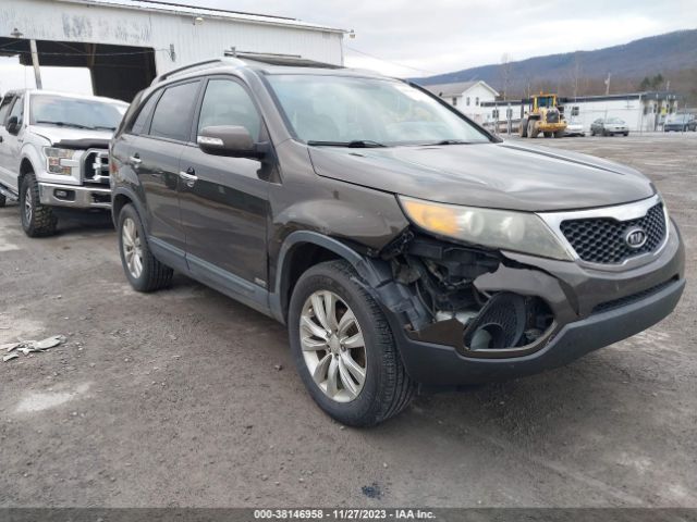 Photo 5 VIN: 5XYKUDA22BG104488 - KIA SORENTO 