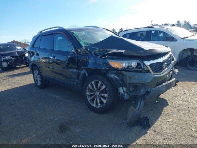 Photo 0 VIN: 5XYKUDA22BG142996 - KIA SORENTO 