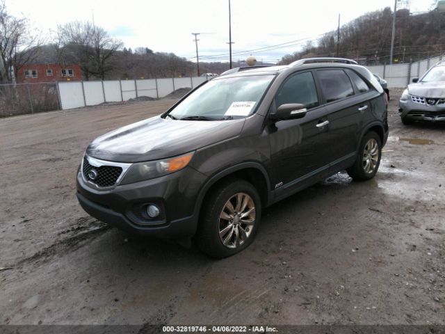 Photo 1 VIN: 5XYKUDA22BG152024 - KIA SORENTO 