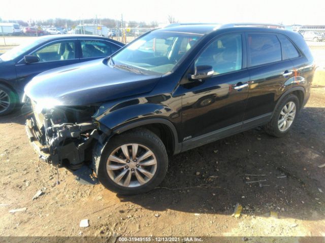 Photo 1 VIN: 5XYKUDA23BG034466 - KIA SORENTO 