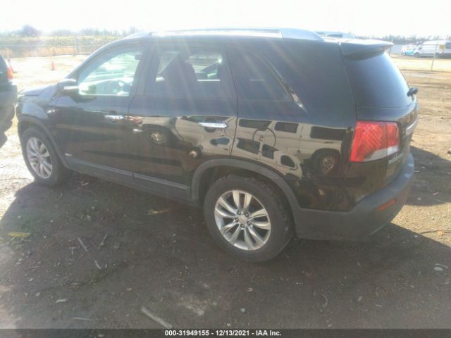 Photo 2 VIN: 5XYKUDA23BG034466 - KIA SORENTO 