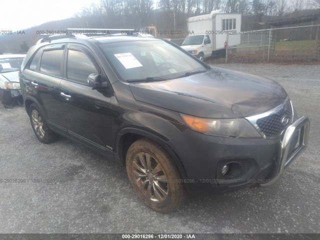 Photo 0 VIN: 5XYKUDA24BG150257 - KIA SORENTO 