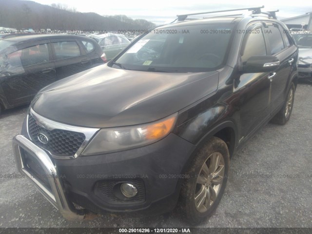 Photo 1 VIN: 5XYKUDA24BG150257 - KIA SORENTO 