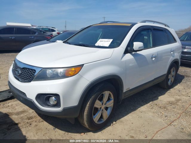 Photo 1 VIN: 5XYKUDA24CG305486 - KIA SORENTO 