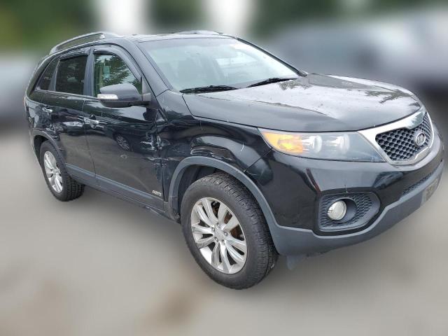 Photo 3 VIN: 5XYKUDA25BG052290 - KIA SORENTO 