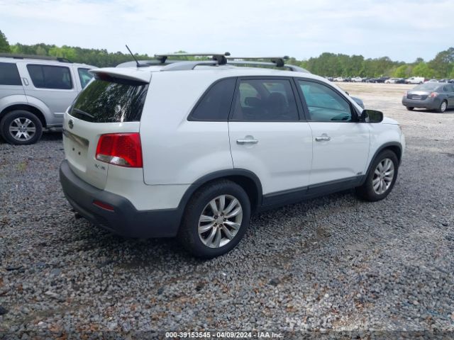 Photo 3 VIN: 5XYKUDA25BG052449 - KIA SORENTO 