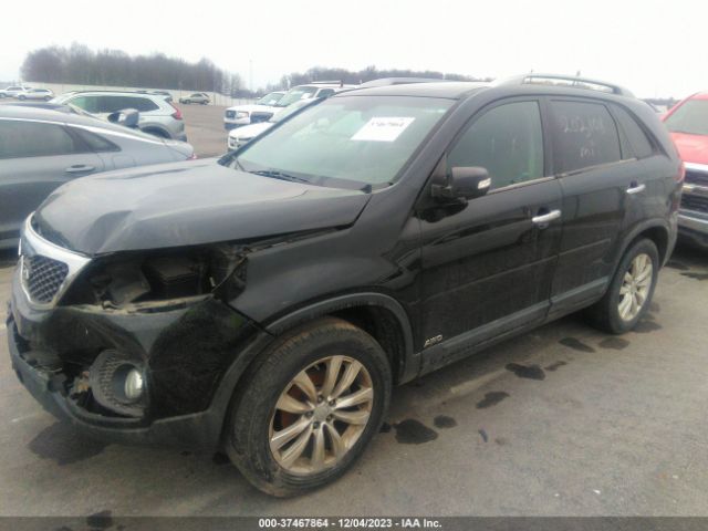 Photo 1 VIN: 5XYKUDA25BG061619 - KIA SORENTO 