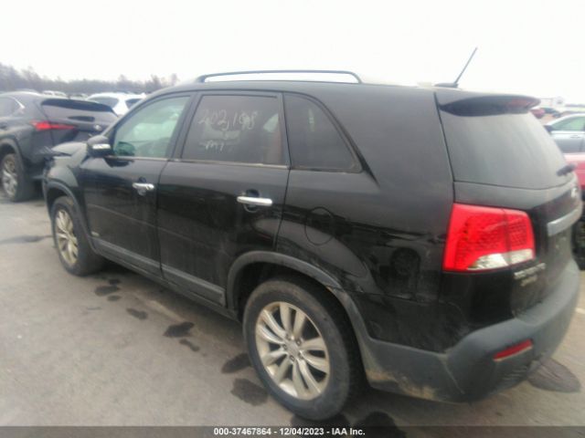 Photo 2 VIN: 5XYKUDA25BG061619 - KIA SORENTO 