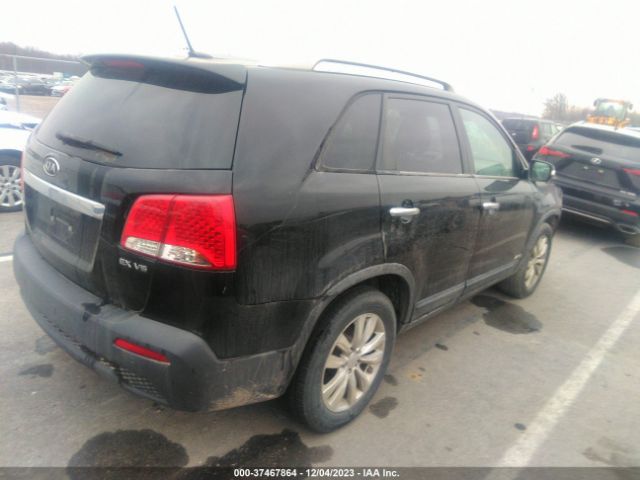 Photo 3 VIN: 5XYKUDA25BG061619 - KIA SORENTO 