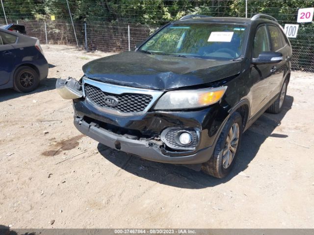 Photo 5 VIN: 5XYKUDA25BG061619 - KIA SORENTO 