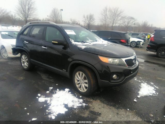 Photo 0 VIN: 5XYKUDA25BG141566 - KIA SORENTO 