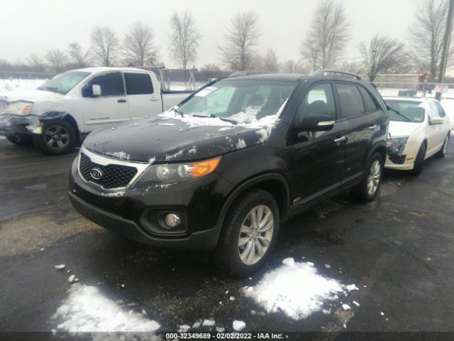 Photo 1 VIN: 5XYKUDA25BG141566 - KIA SORENTO 