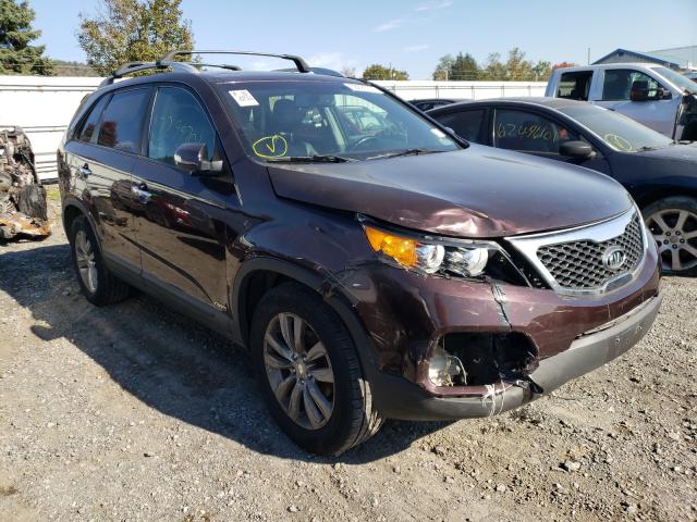 Photo 0 VIN: 5XYKUDA26BG001784 - KIA SORENTO EX 