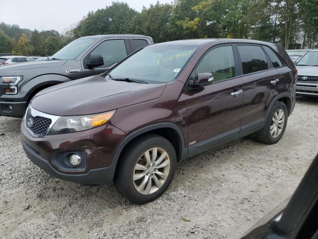 Photo 0 VIN: 5XYKUDA26BG003373 - KIA SORENTO EX 