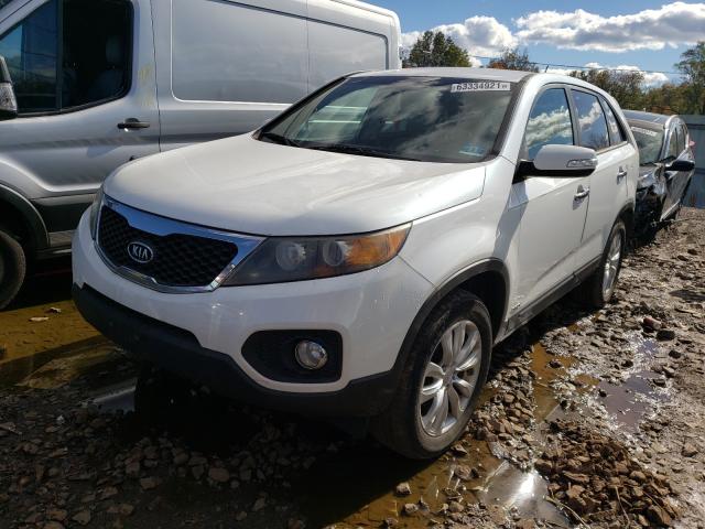 Photo 1 VIN: 5XYKUDA26BG014700 - KIA SORENTO EX 